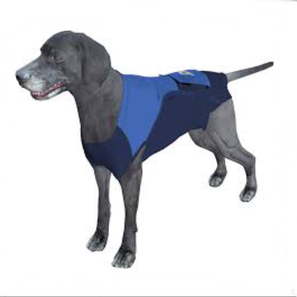 Other - Surgi snuggly washable disposable pet suit